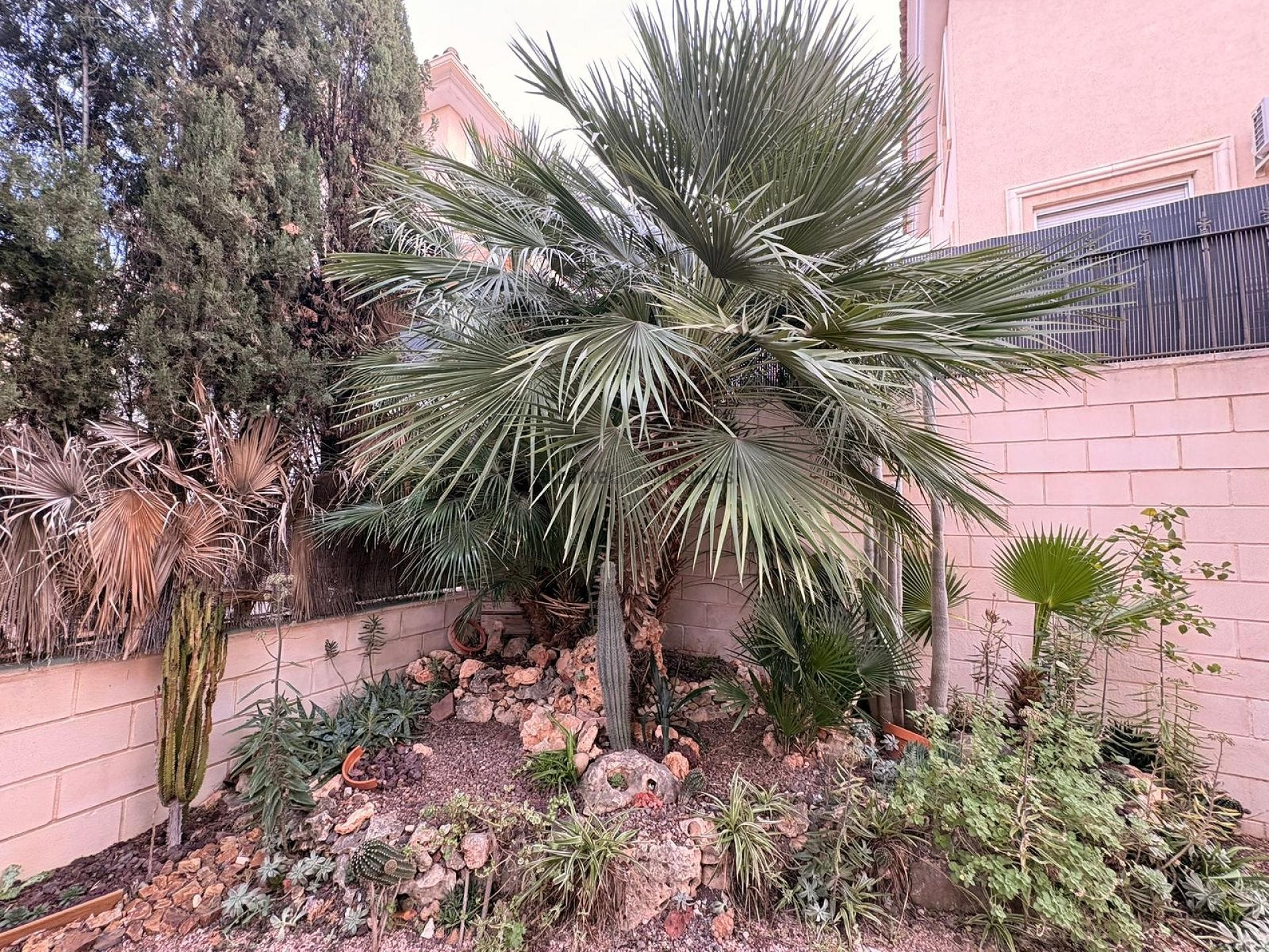 Resale - 3 Bedroom 3 Bathroom Semi-detached in Elda -  - Alicante