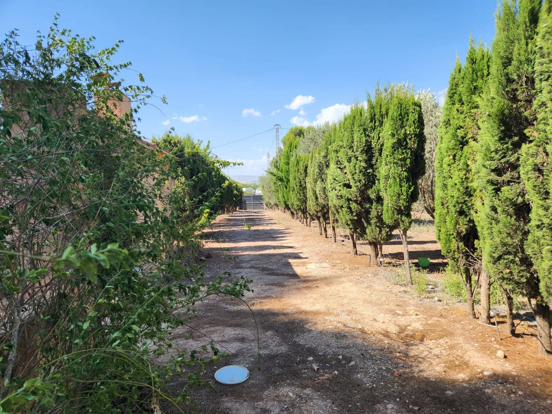 Resale - 4 Bedroom 2 Bathroom Villa in Villena -  - Alicante