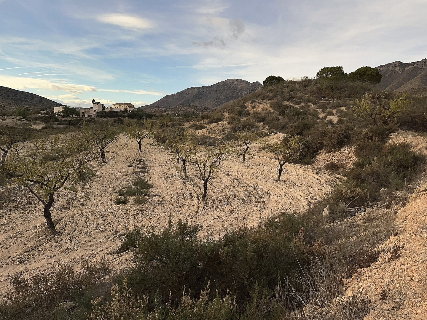 8 Bedroom 2 Bathroom Country house in Hondón de las Nieves