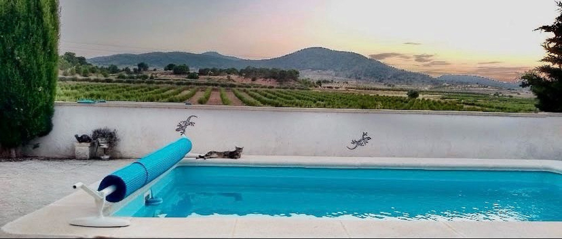Resale - 6 Bedroom 2 Bathroom Semi-detached in Pinoso -  - Alicante