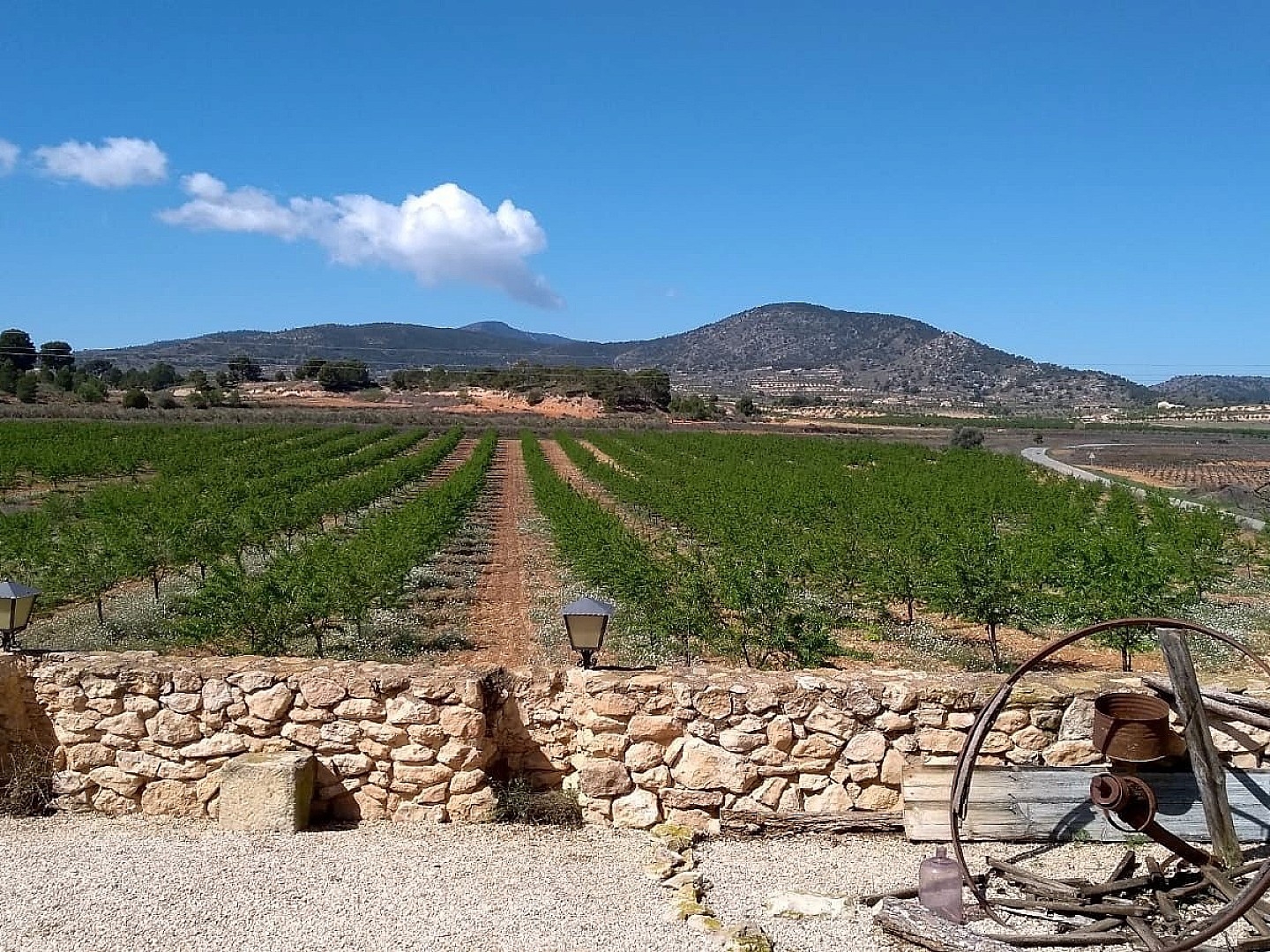 6 Bedroom 2 Bathroom Semi-detached in Pinoso