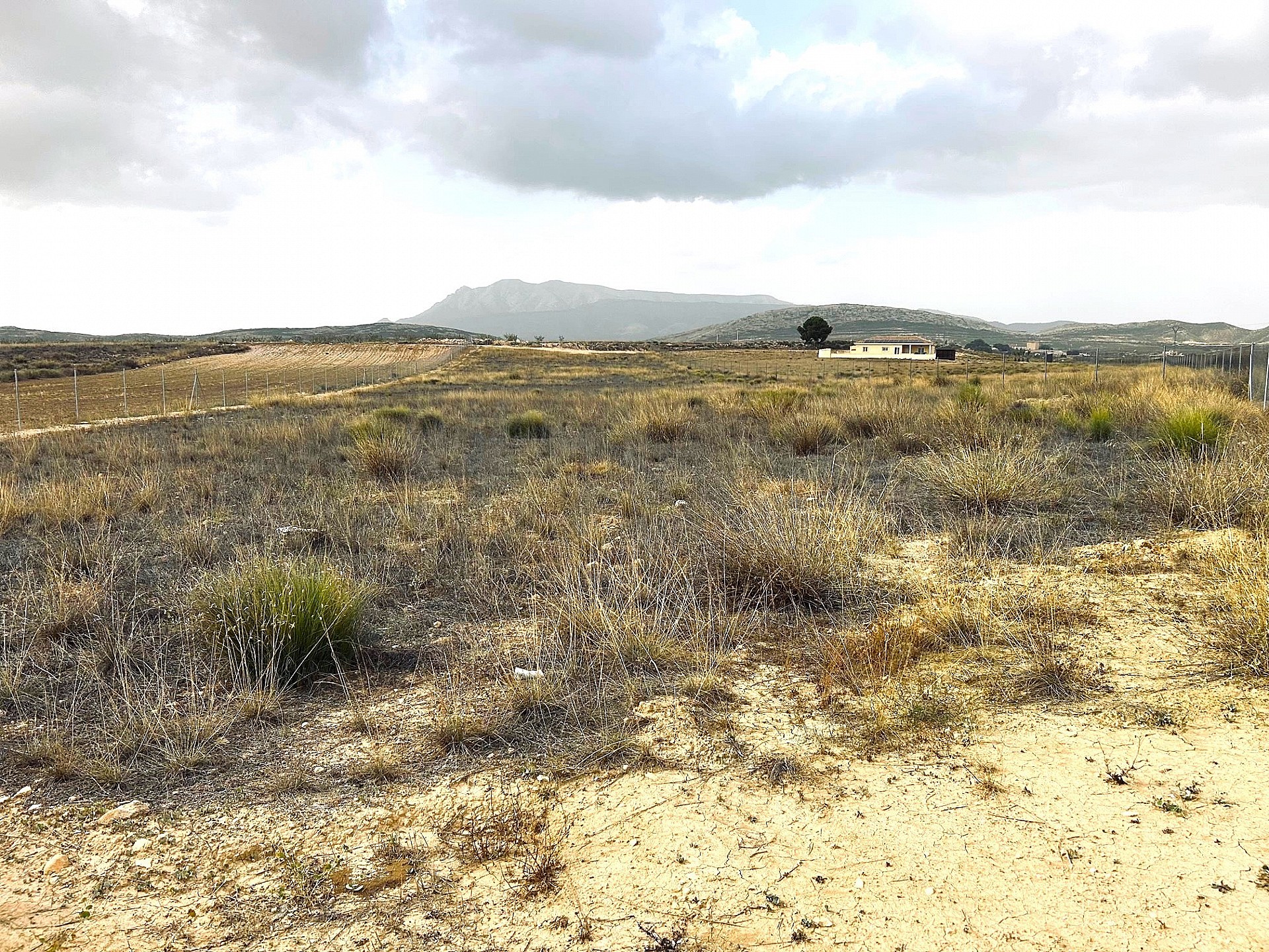 Resale - Land in Torre Del Rico -  - Murcia