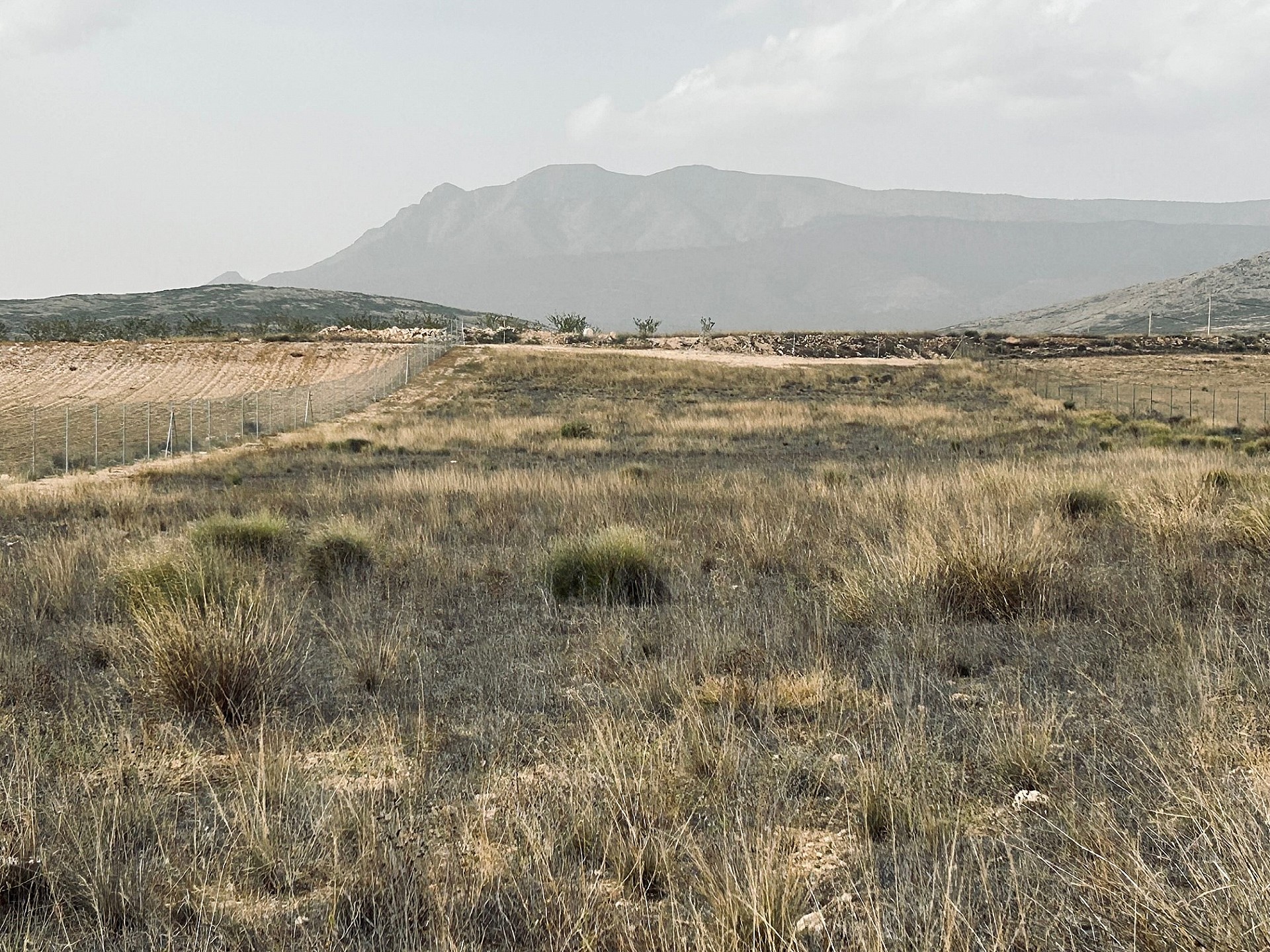 Resale - Land in Torre Del Rico -  - Murcia