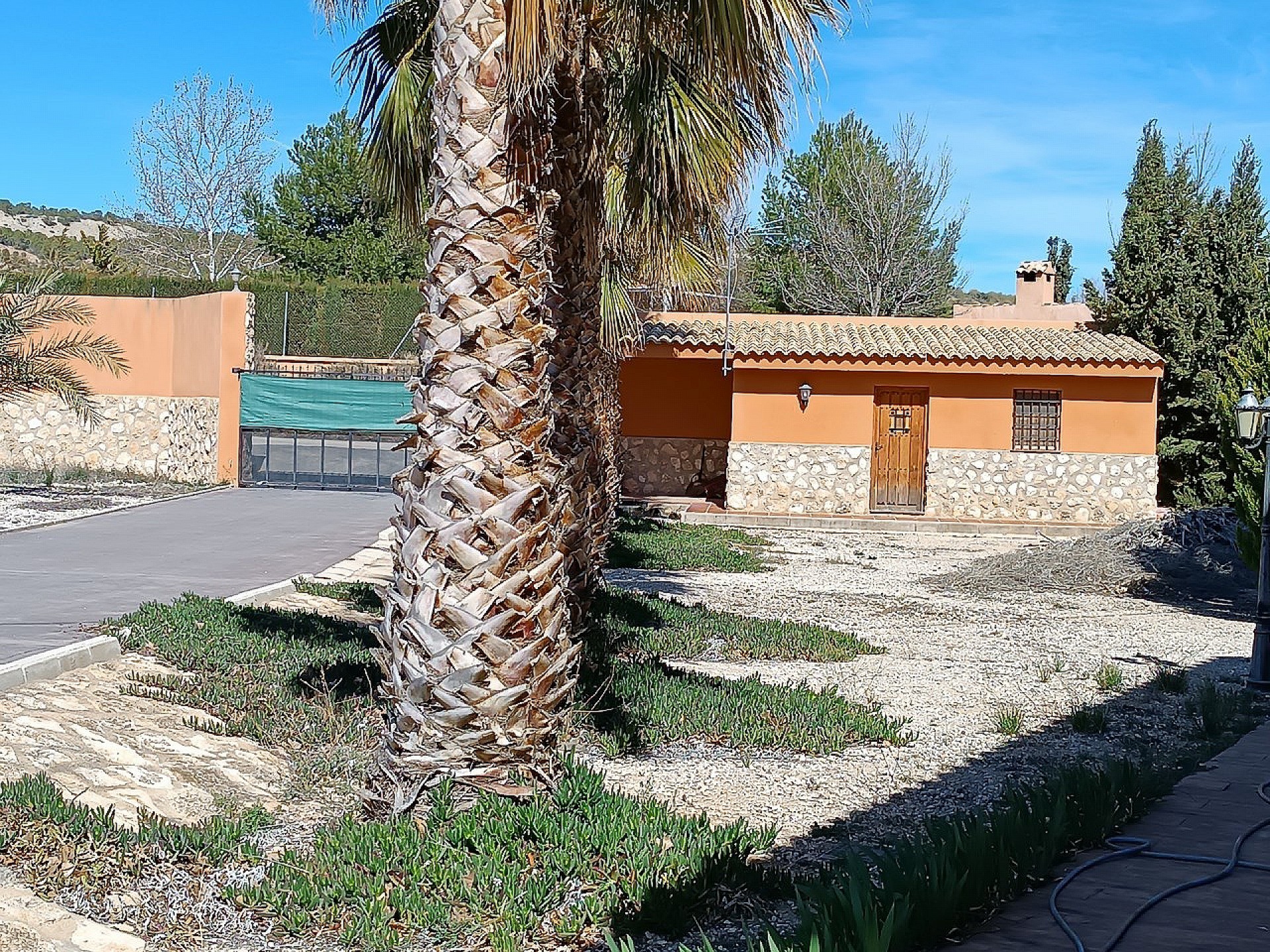 Resale - 7 Bedroom 4 Bathroom Wooden House in Yecla -  - Murcia