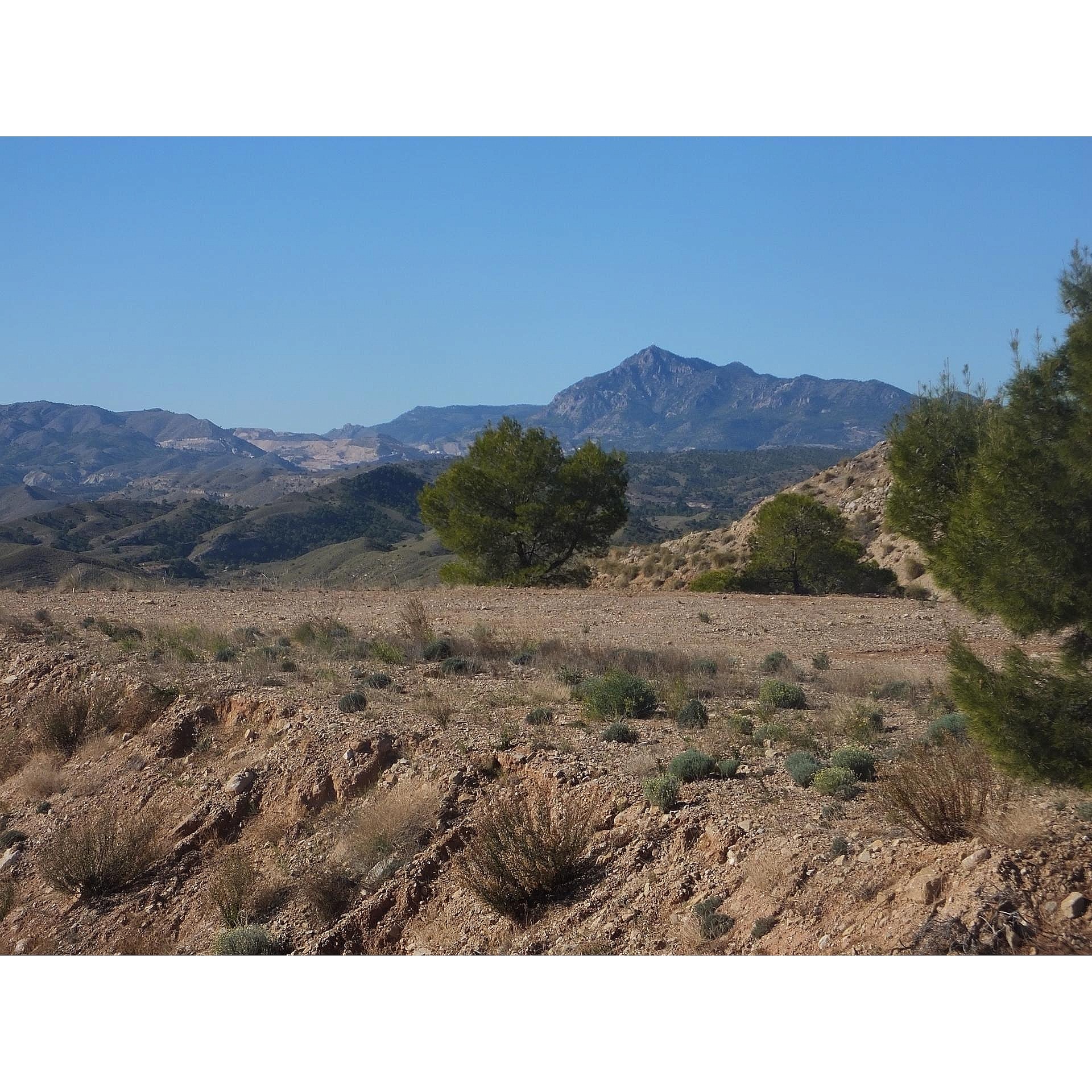 Resale - Land in Abanilla -  - Murcia