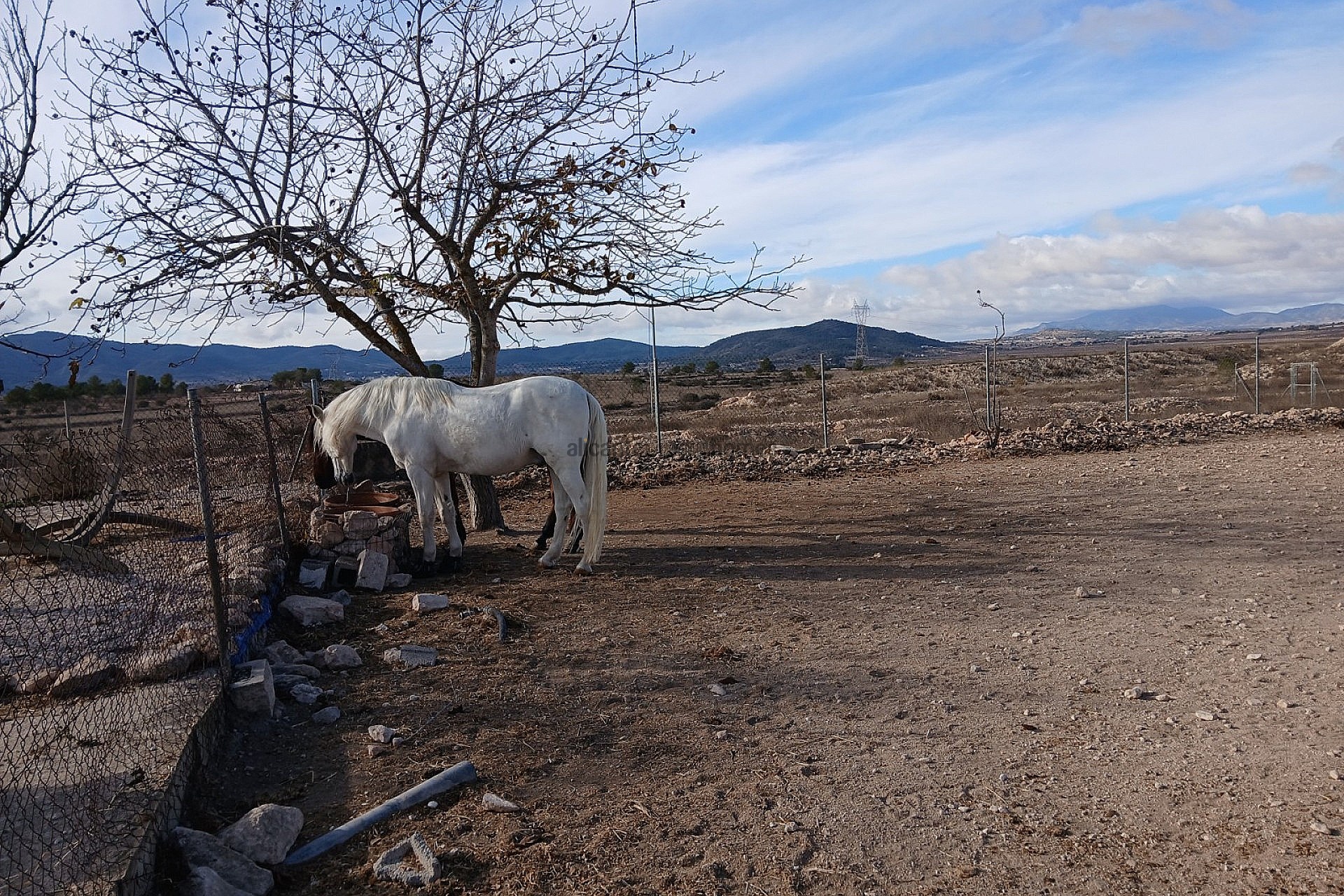 Resale - 3 Bedroom 1 Bathroom Country house in Monóvar -  - Alicante