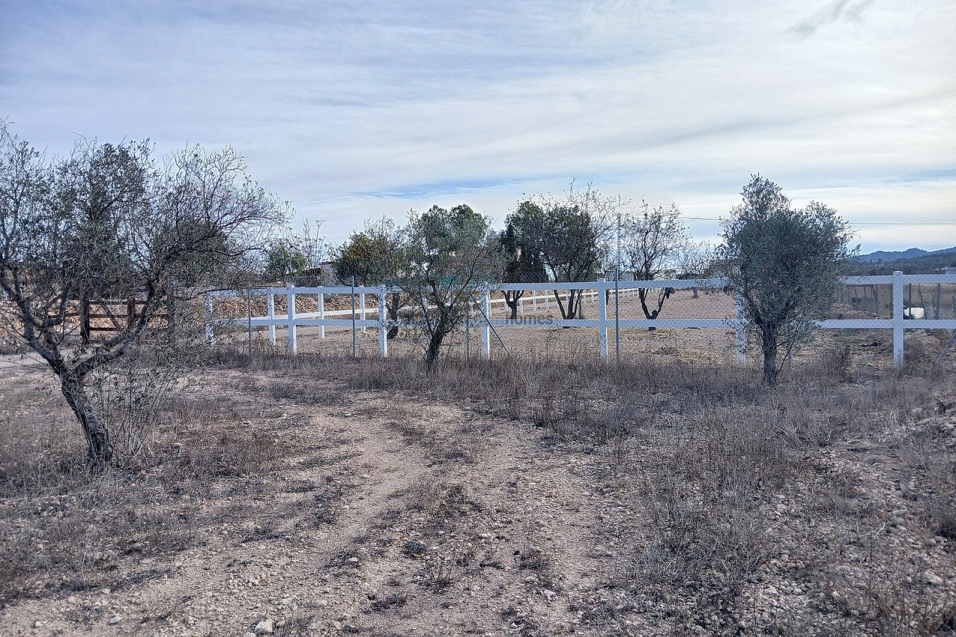 Resale - 3 Bedroom 1 Bathroom Country house in Monóvar -  - Alicante