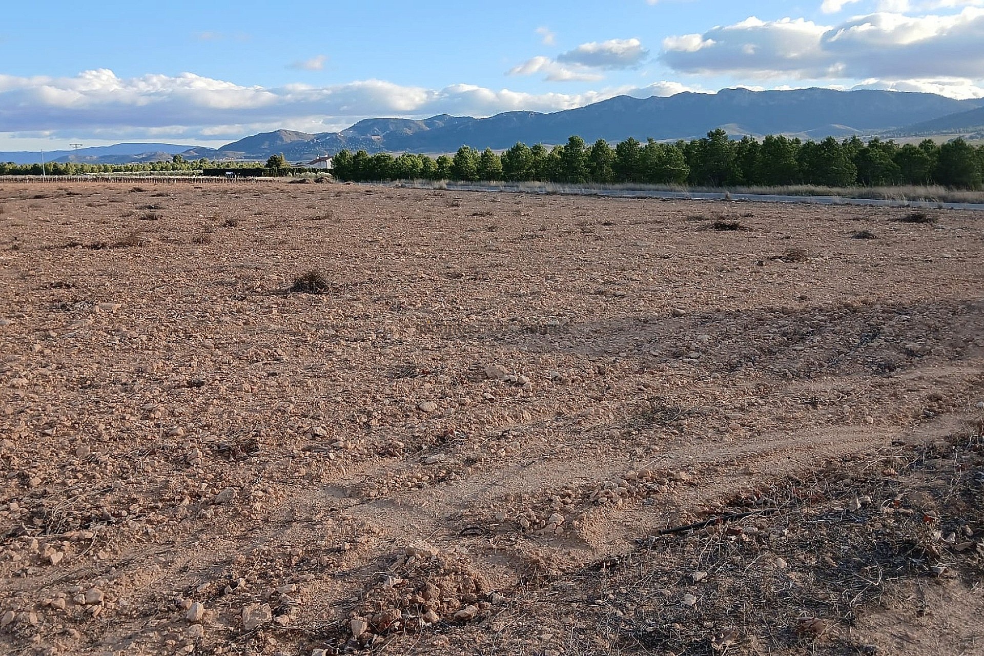 Resale - Land in Yecla -  - Murcia