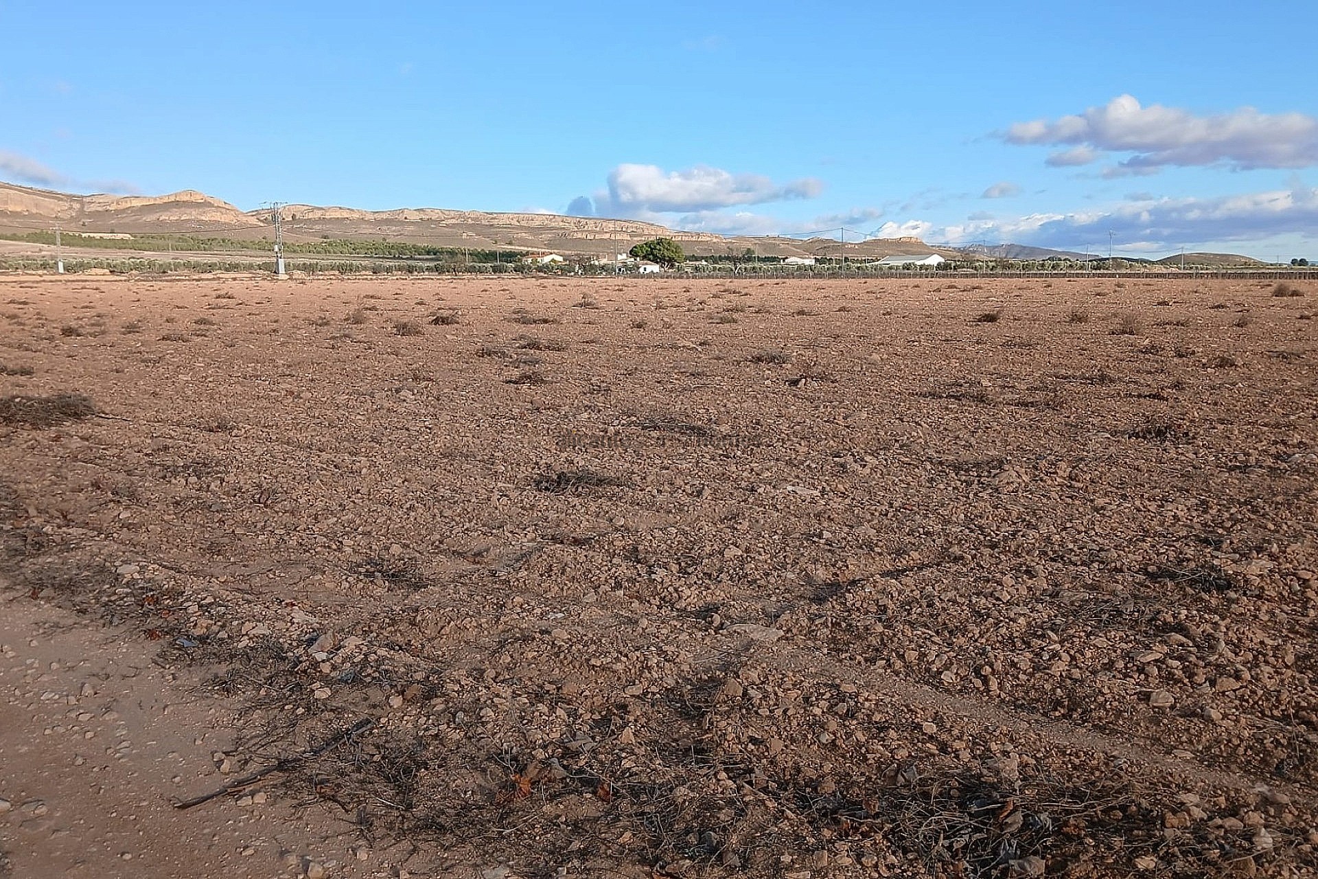 Resale - Land in Yecla -  - Murcia