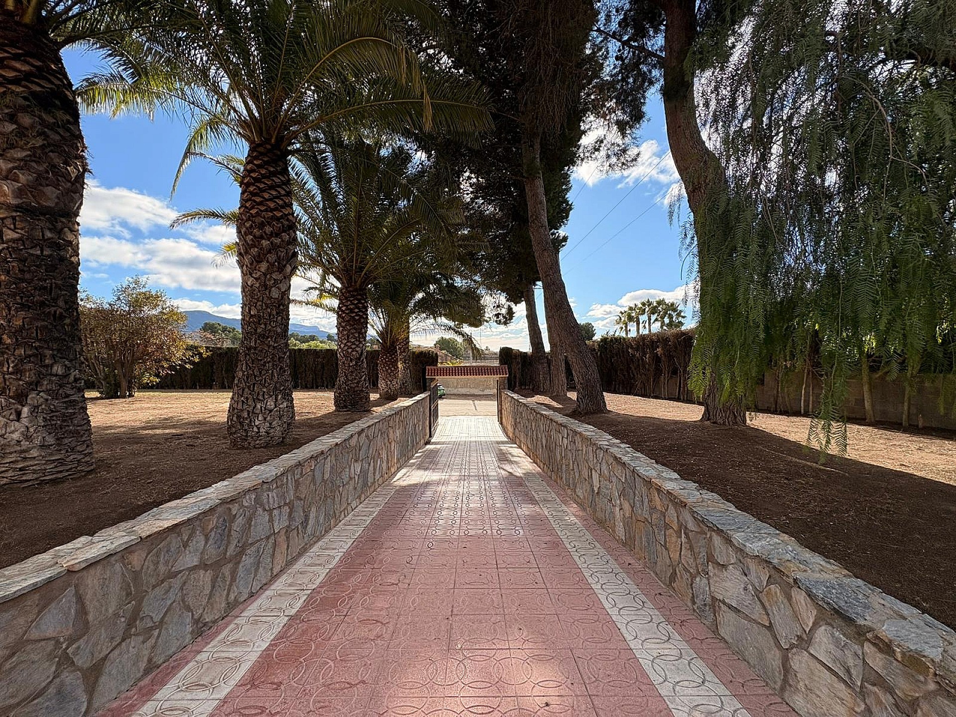 Resale - 3 Bedroom 2 Bathroom Villa in Sax -  - Alicante