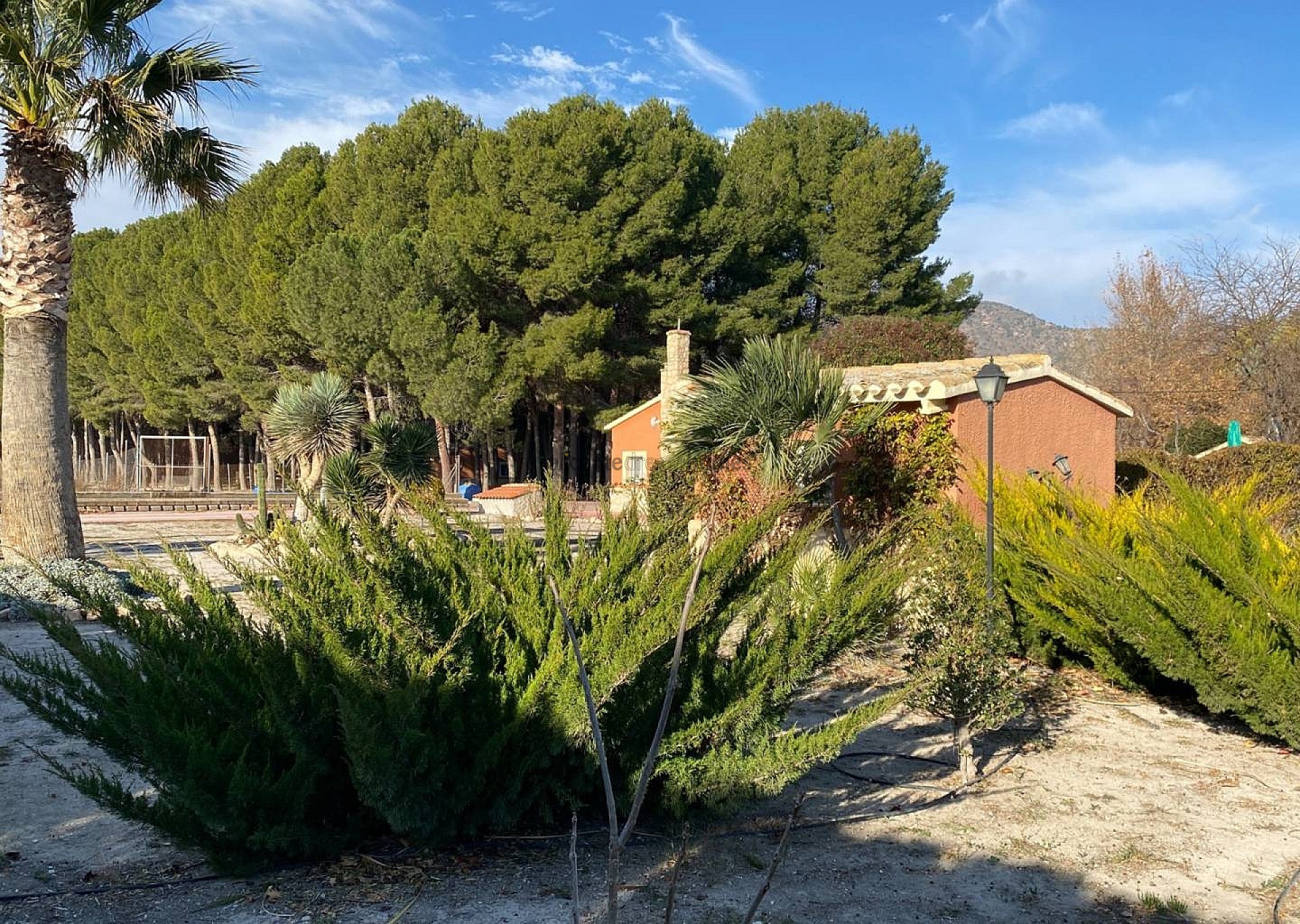 Resale - 4 Bedroom 3 Bathroom Villa in Salinas -  - Alicante