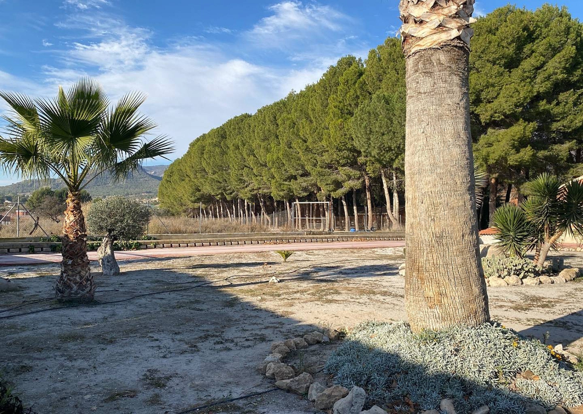 Resale - 4 Bedroom 3 Bathroom Villa in Salinas -  - Alicante