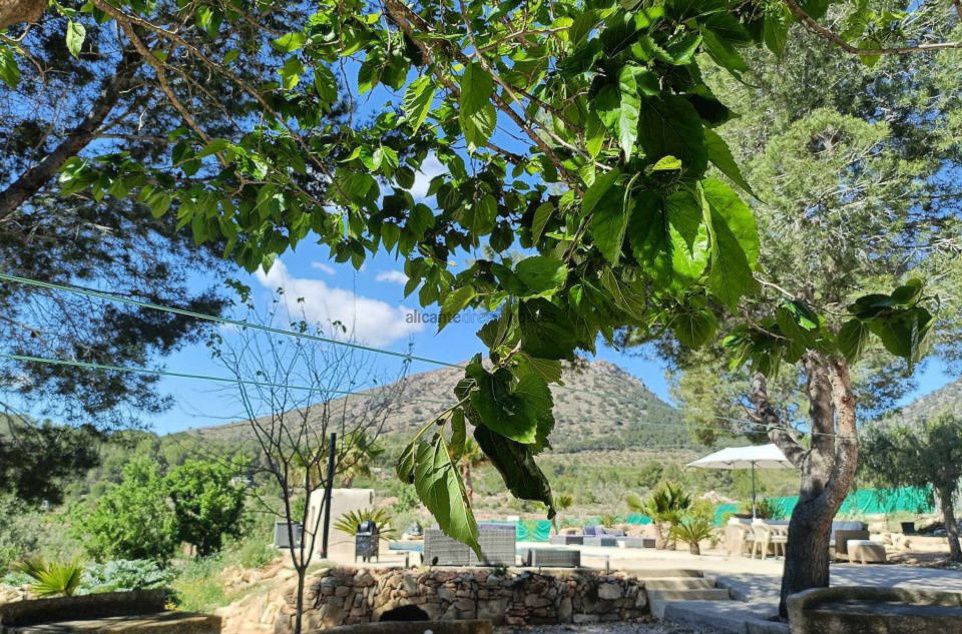 Resale - 4 Bedroom 2 Bathroom Country house in La Romana -  - Alicante