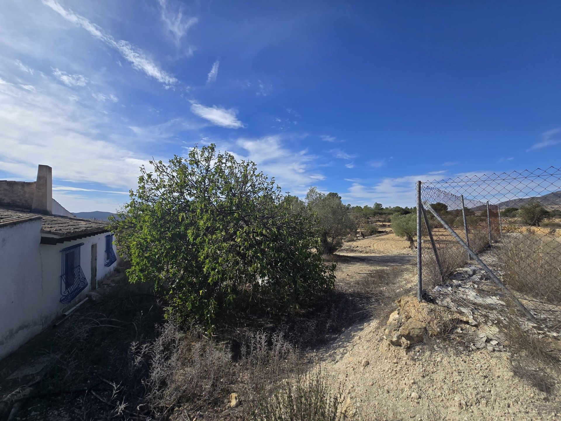 Resale - 7 Bedroom 3 Bathroom Country house in Monóvar -  - Alicante