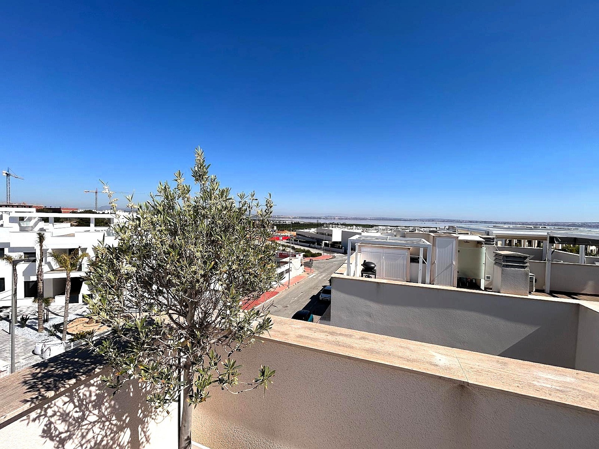 Resale - 3 Bedroom 2 Bathroom Apartment in Torrevieja -  - Alicante