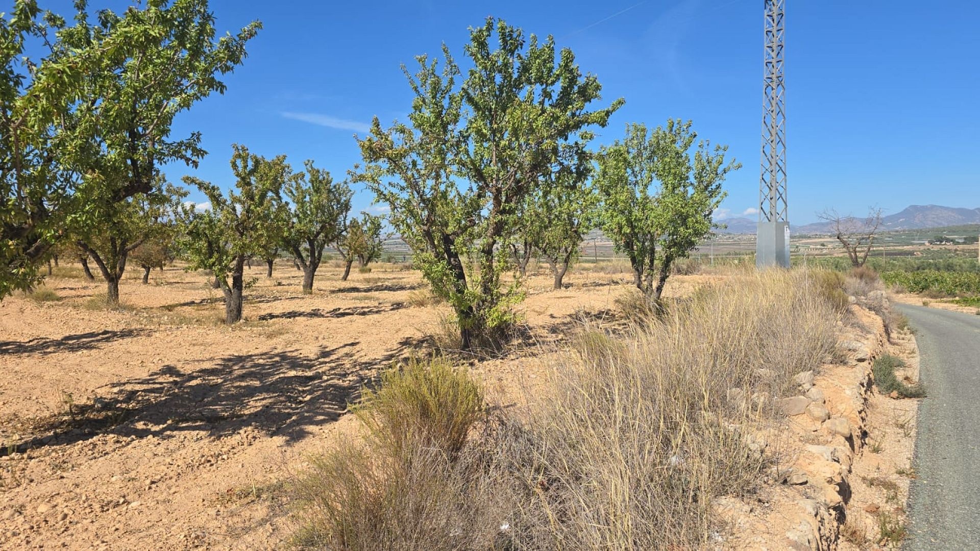 Resale - Land in Salinas -  - Alicante