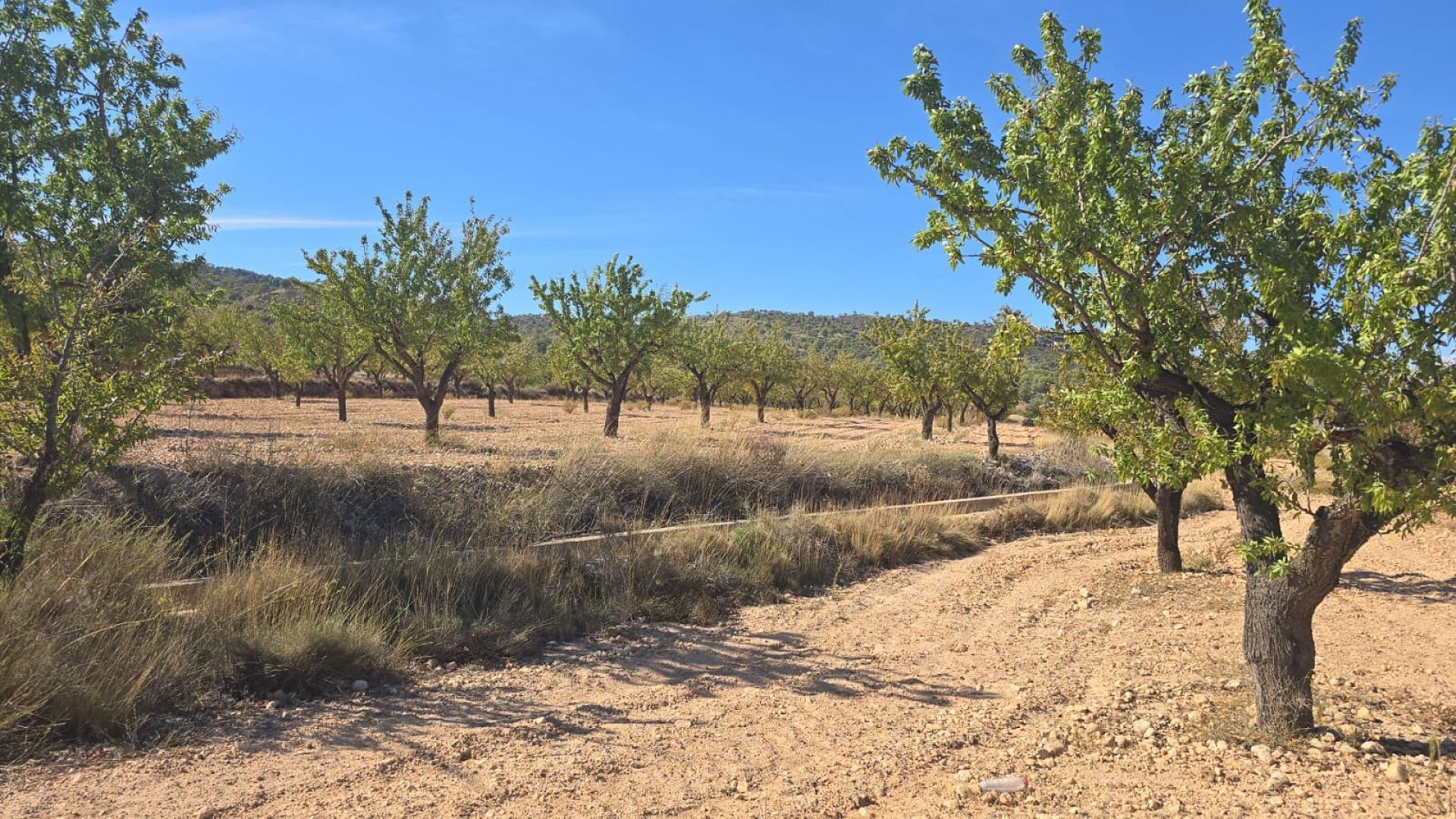 Resale - Land in Salinas -  - Alicante