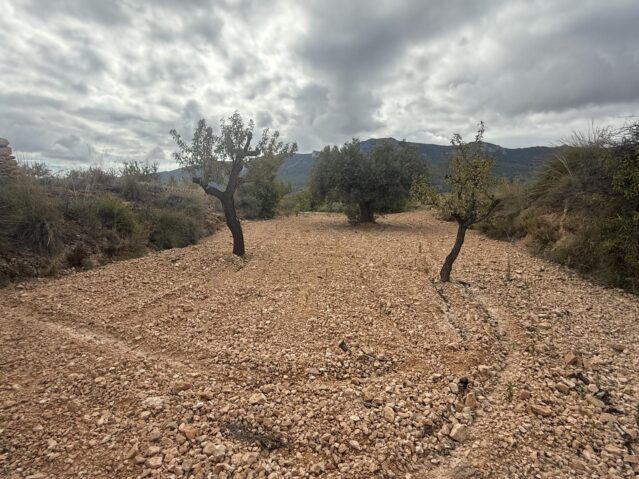 Resale - Land in La Romana - , La Romana, Alicante, Spain - Alicante