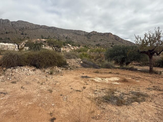 Resale - Land in La Romana - , La Romana, Alicante, Spain - Alicante