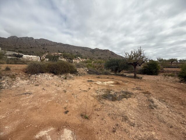 Resale - Land in La Romana - , La Romana, Alicante, Spain - Alicante