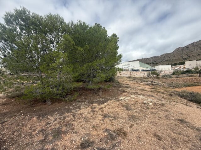 Resale - Land in La Romana - , La Romana, Alicante, Spain - Alicante