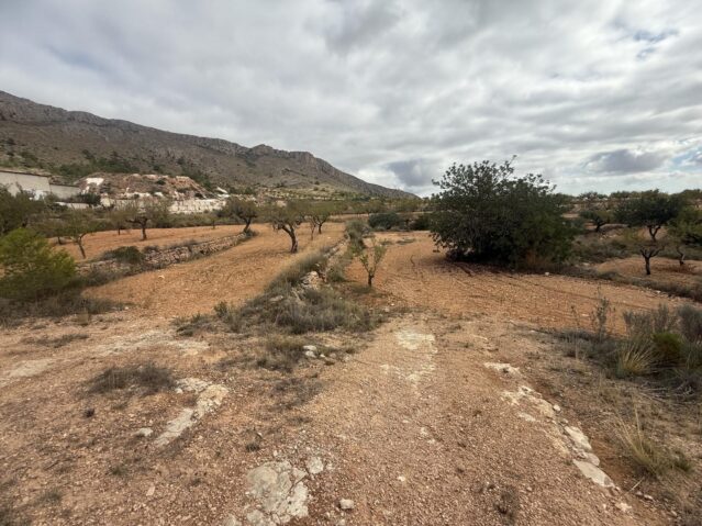 Resale - Land in La Romana - , La Romana, Alicante, Spain - Alicante
