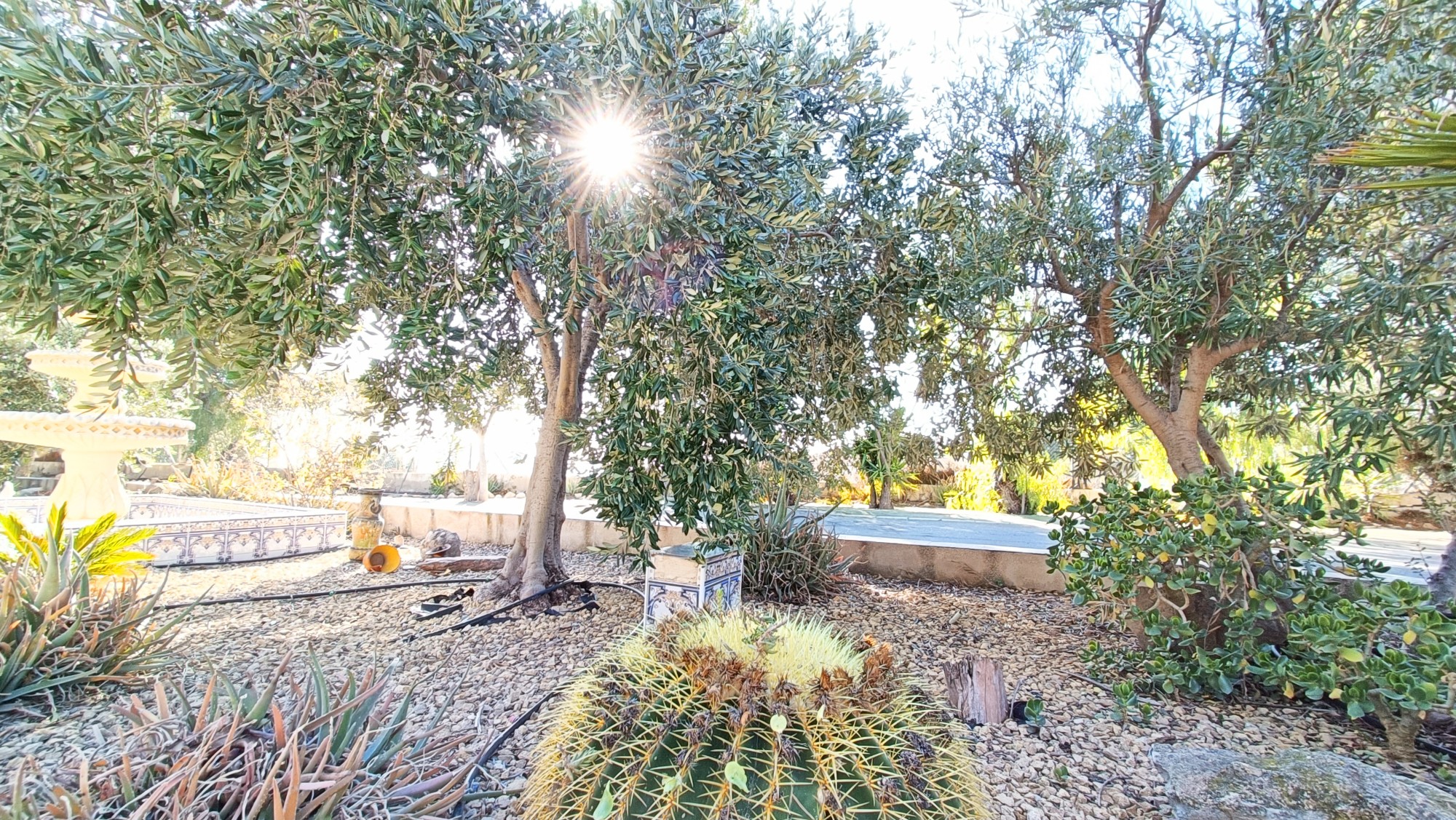 Resale - 4 Bedroom 2 Bathroom Villa in La Romana -  - Alicante