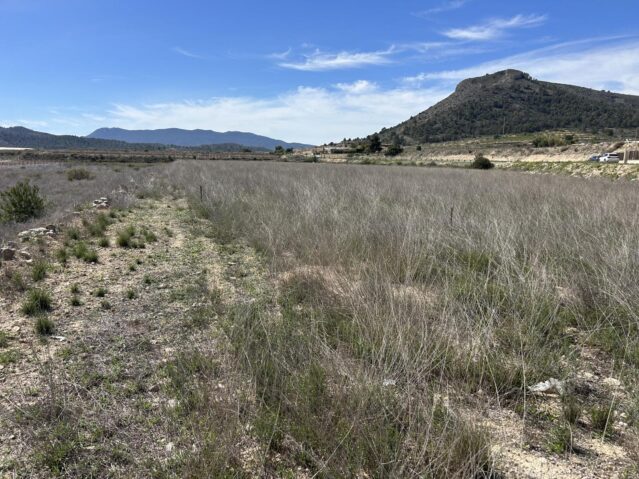 Resale - Land in La Romana - , La Romana, Alicante, Spain - Alicante