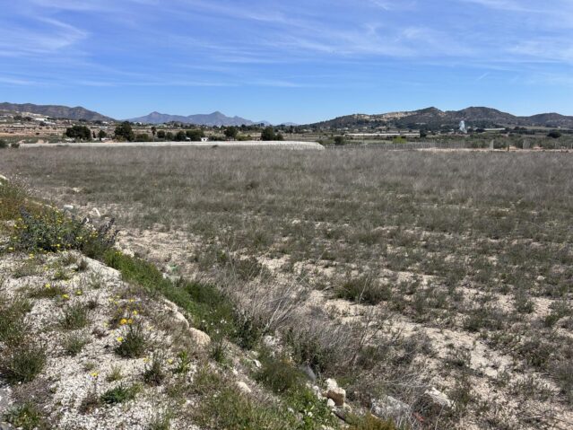 Resale - Land in La Romana - , La Romana, Alicante, Spain - Alicante