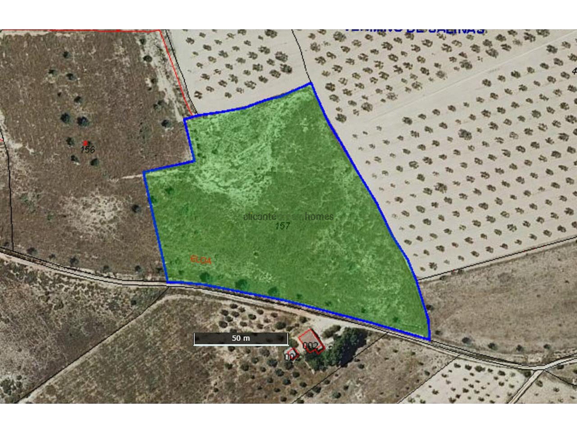 Resale - Land in Salinas -  - Alicante