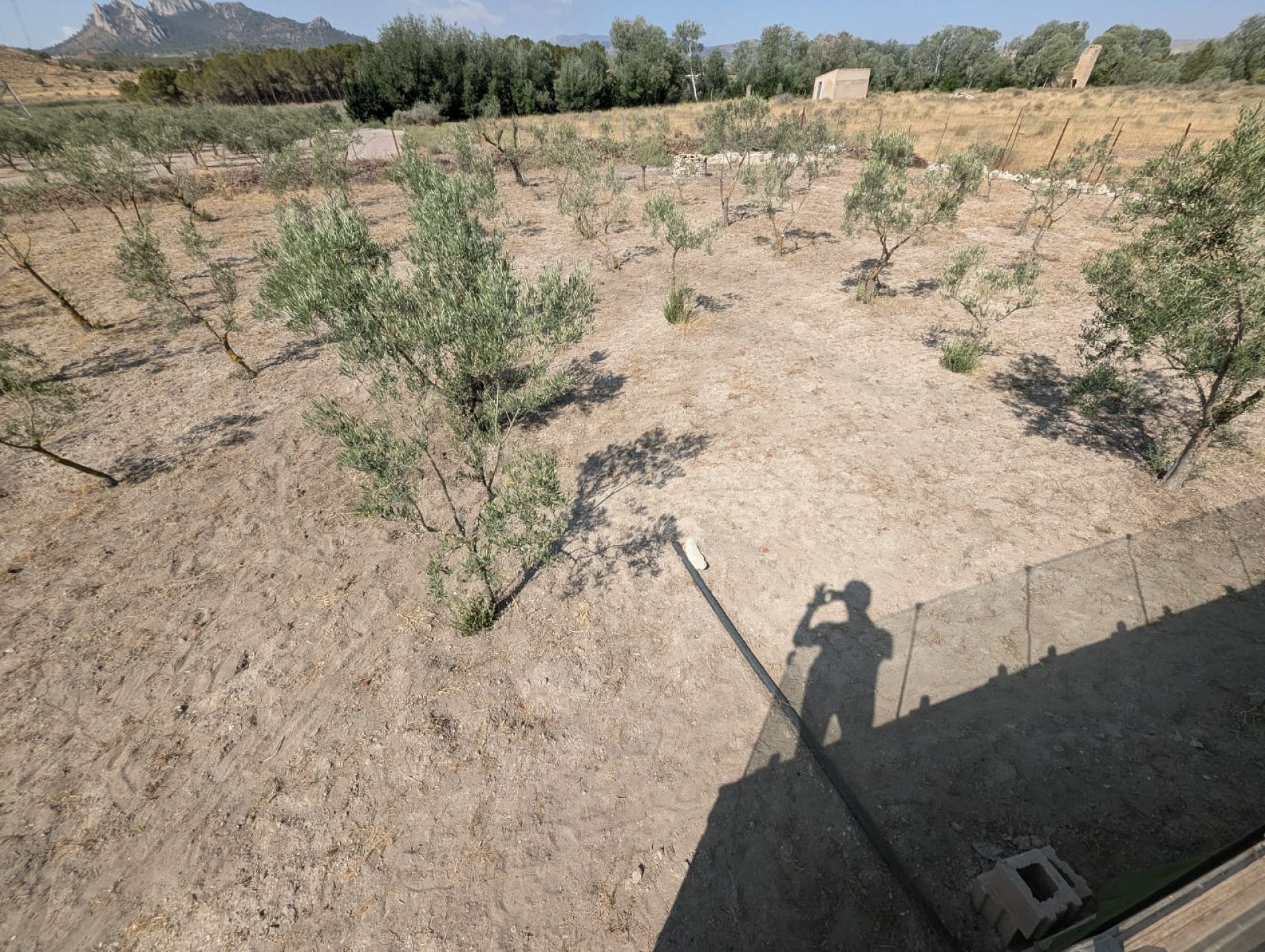 Resale - 3 Bedroom 3 Bathroom Country house in Sax -  - Alicante