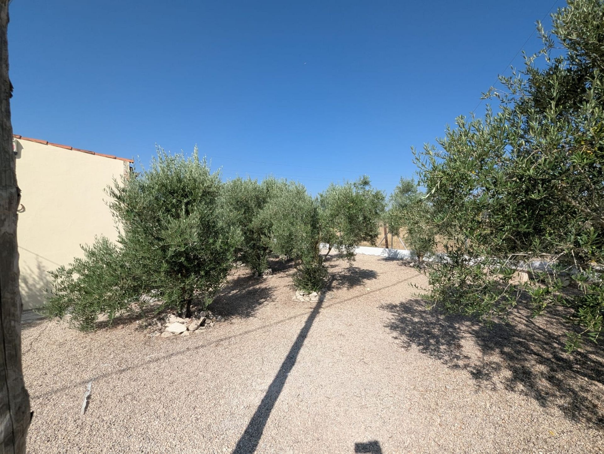 Resale - 3 Bedroom 3 Bathroom Country house in Sax -  - Alicante