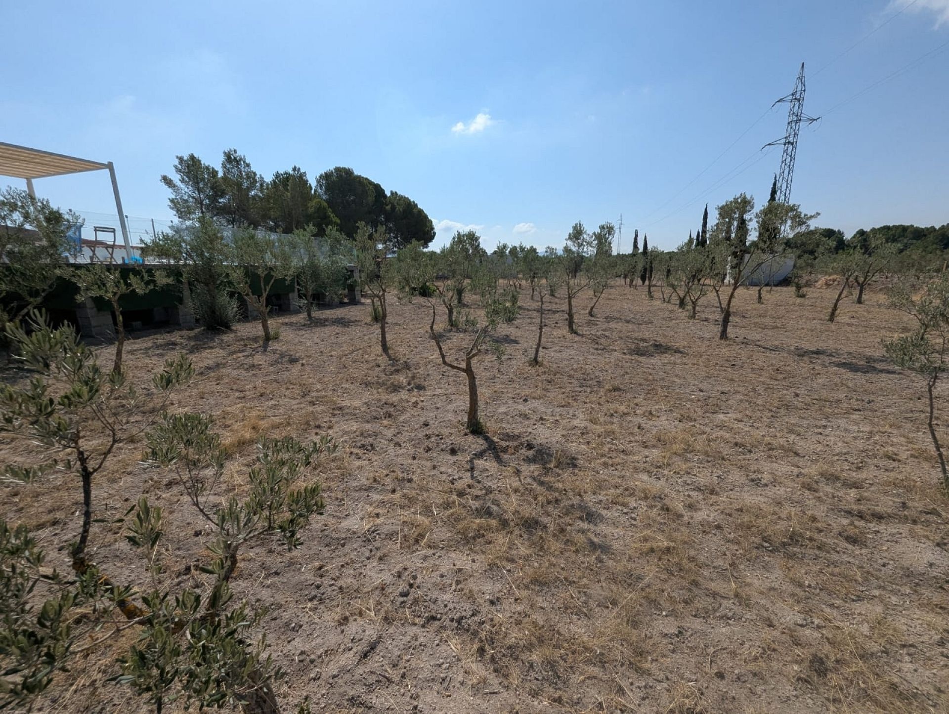 Resale - 3 Bedroom 3 Bathroom Country house in Sax -  - Alicante