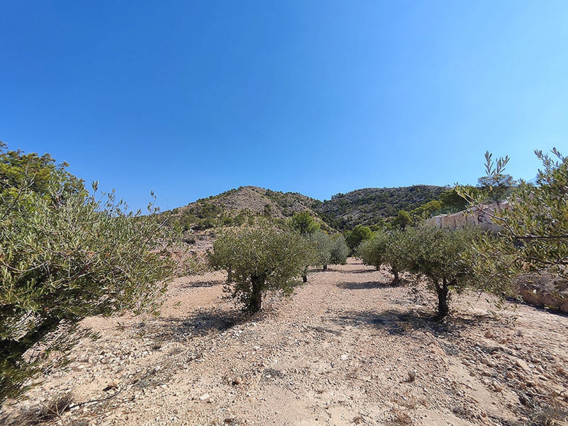 Resale - 4 Bedroom 2 Bathroom Villa in Fortuna -  - Murcia