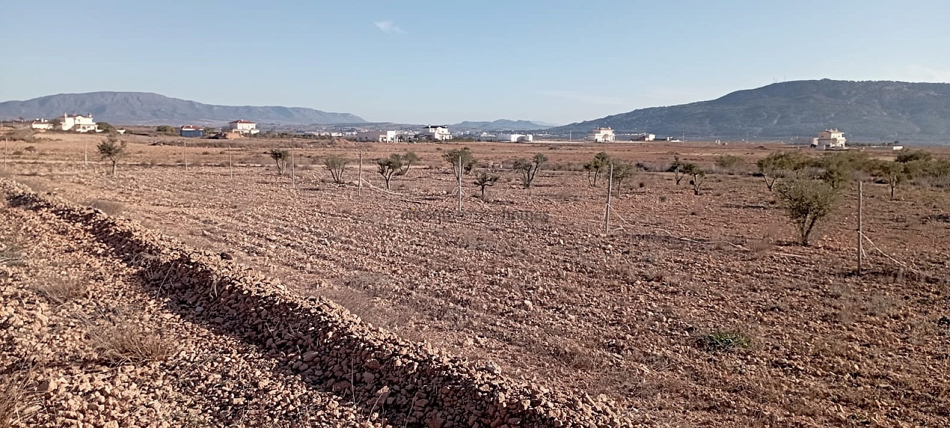 Resale - 4 Bedroom 2 Bathroom Finca in Pinoso -  - Alicante