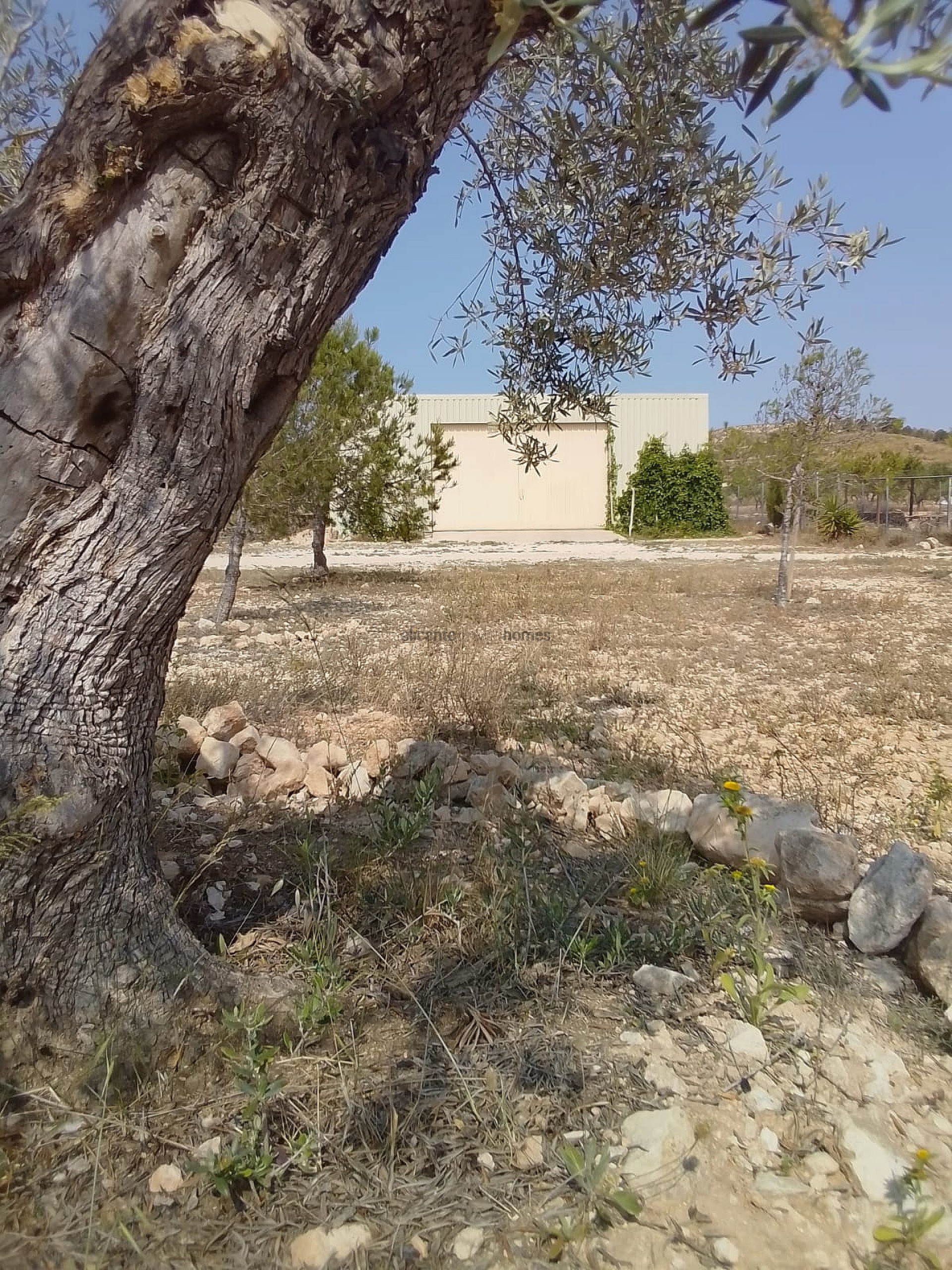 Resale - 4 Bedroom 2 Bathroom Finca in Pinoso -  - Alicante