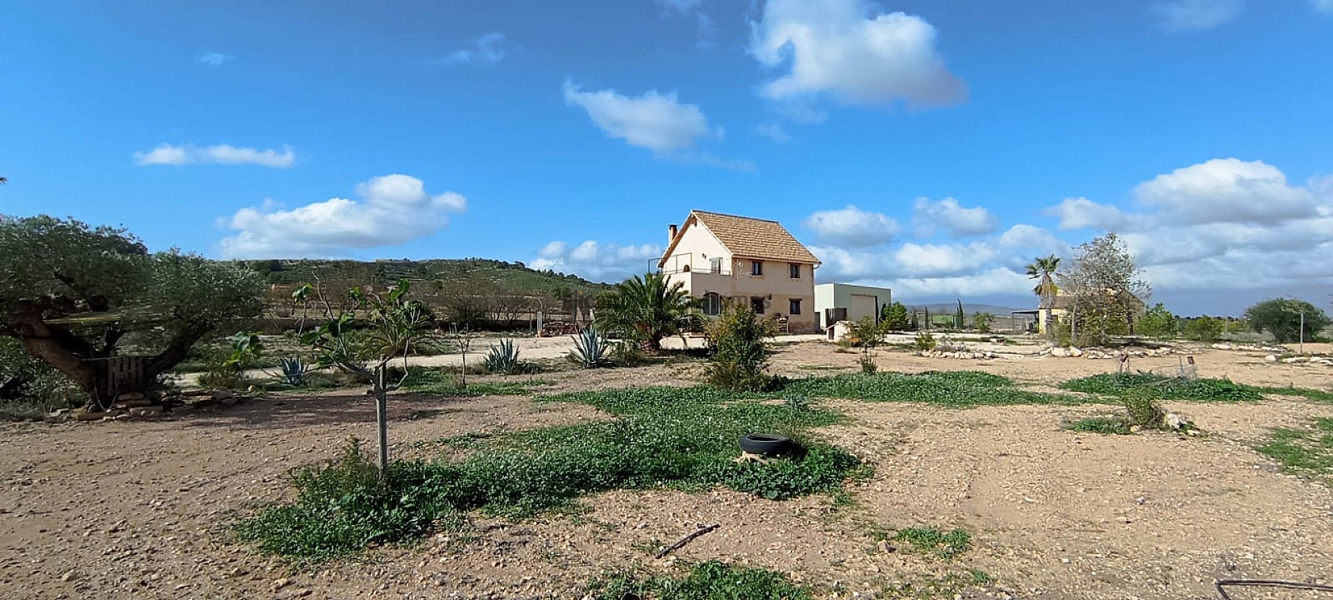 Resale - 4 Bedroom 2 Bathroom Finca in Pinoso -  - Alicante