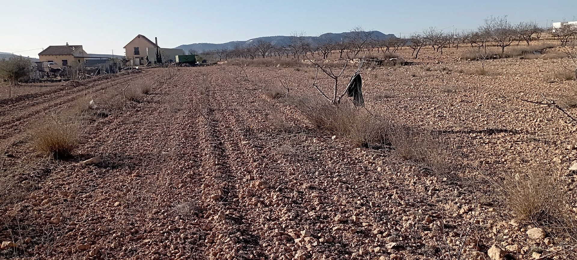 Resale - 4 Bedroom 2 Bathroom Finca in Pinoso -  - Alicante