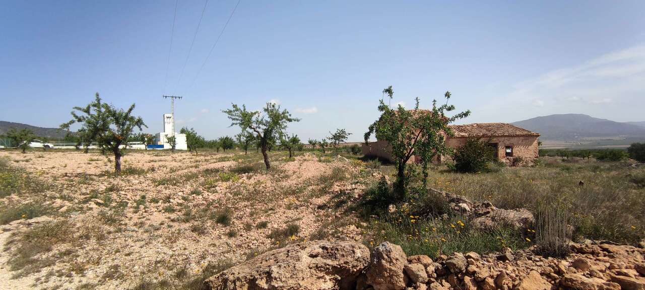 Resale - Country house in Pinoso - , Pinoso, Alicante, Spain - Alicante