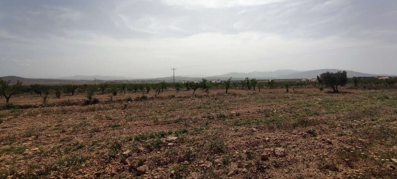 Resale - Country house in Pinoso - , Pinoso, Alicante, Spain - Alicante