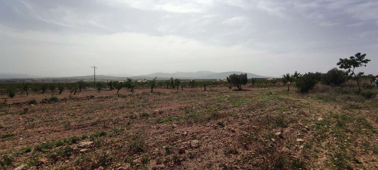 Resale - Country house in Pinoso - , Pinoso, Alicante, Spain - Alicante