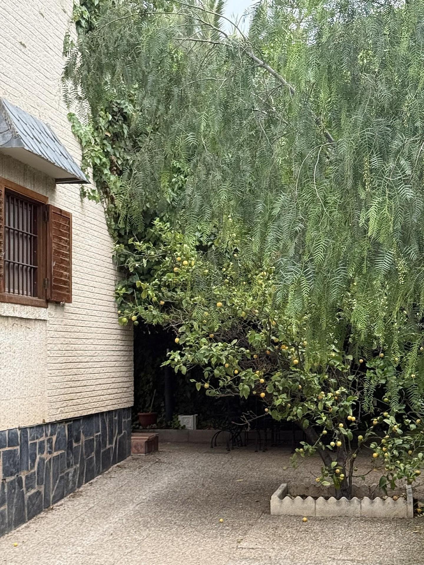 Resale - 4 Bedroom 2 Bathroom Villa in Elda -  - Alicante