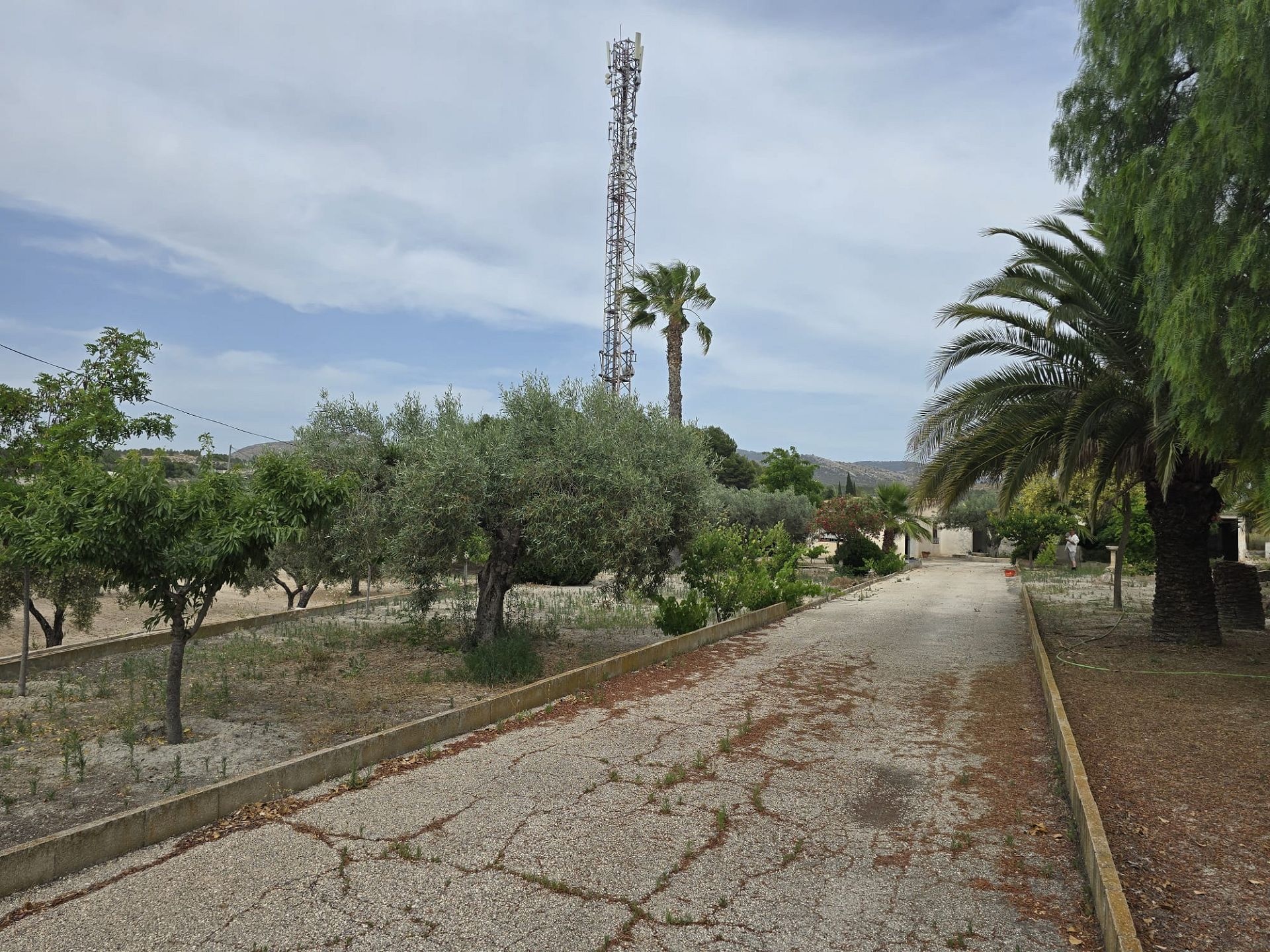 Resale - 1 Bathroom Restoration Project in Sax -  - Alicante