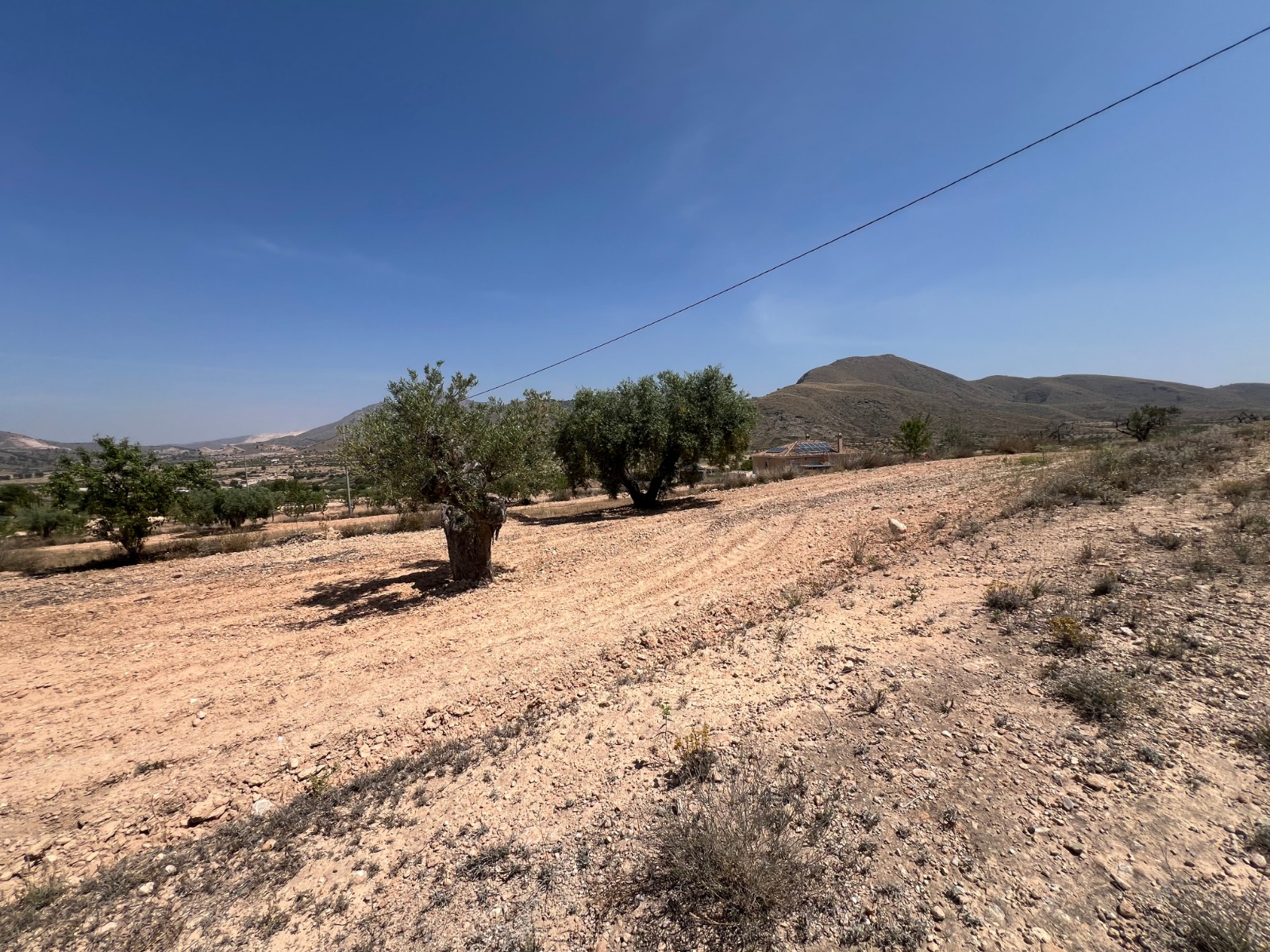 Resale - Land in Barbarroja -  - Alicante