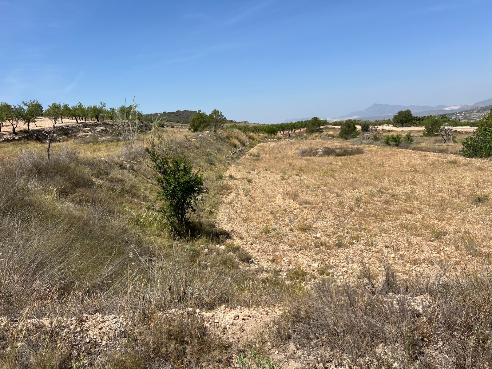 Resale - Land in Barbarroja -  - Alicante