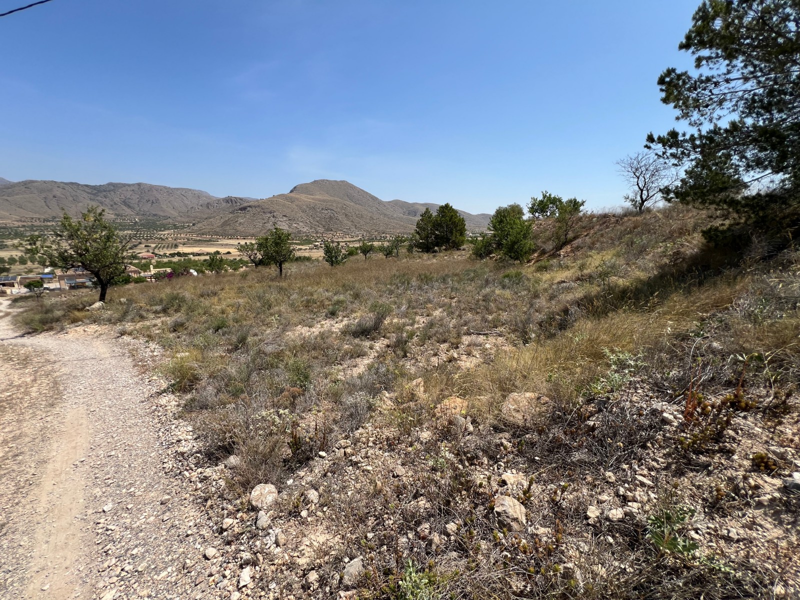 Resale - Land in Barbarroja -  - Alicante