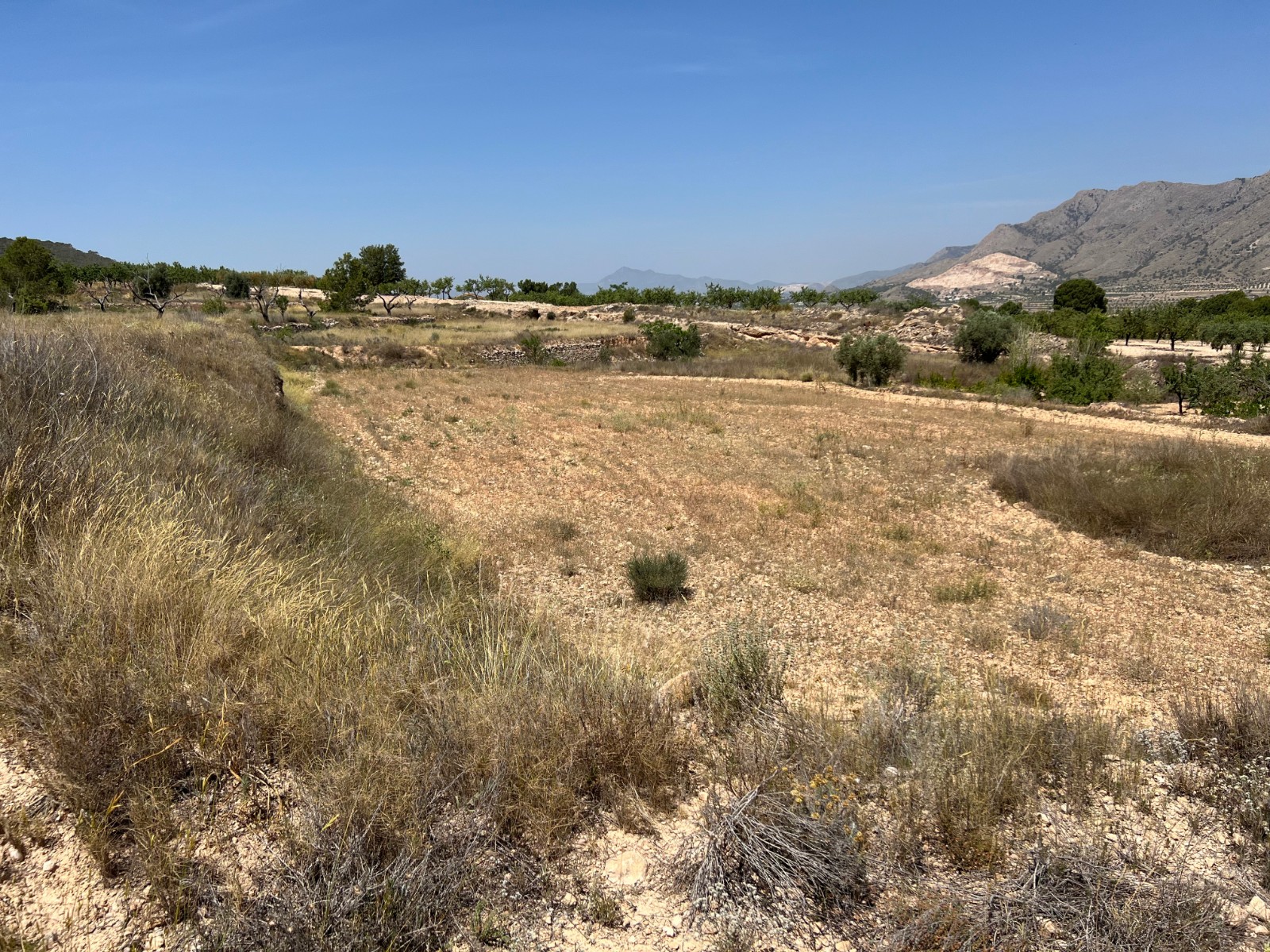 Resale - Land in Barbarroja -  - Alicante