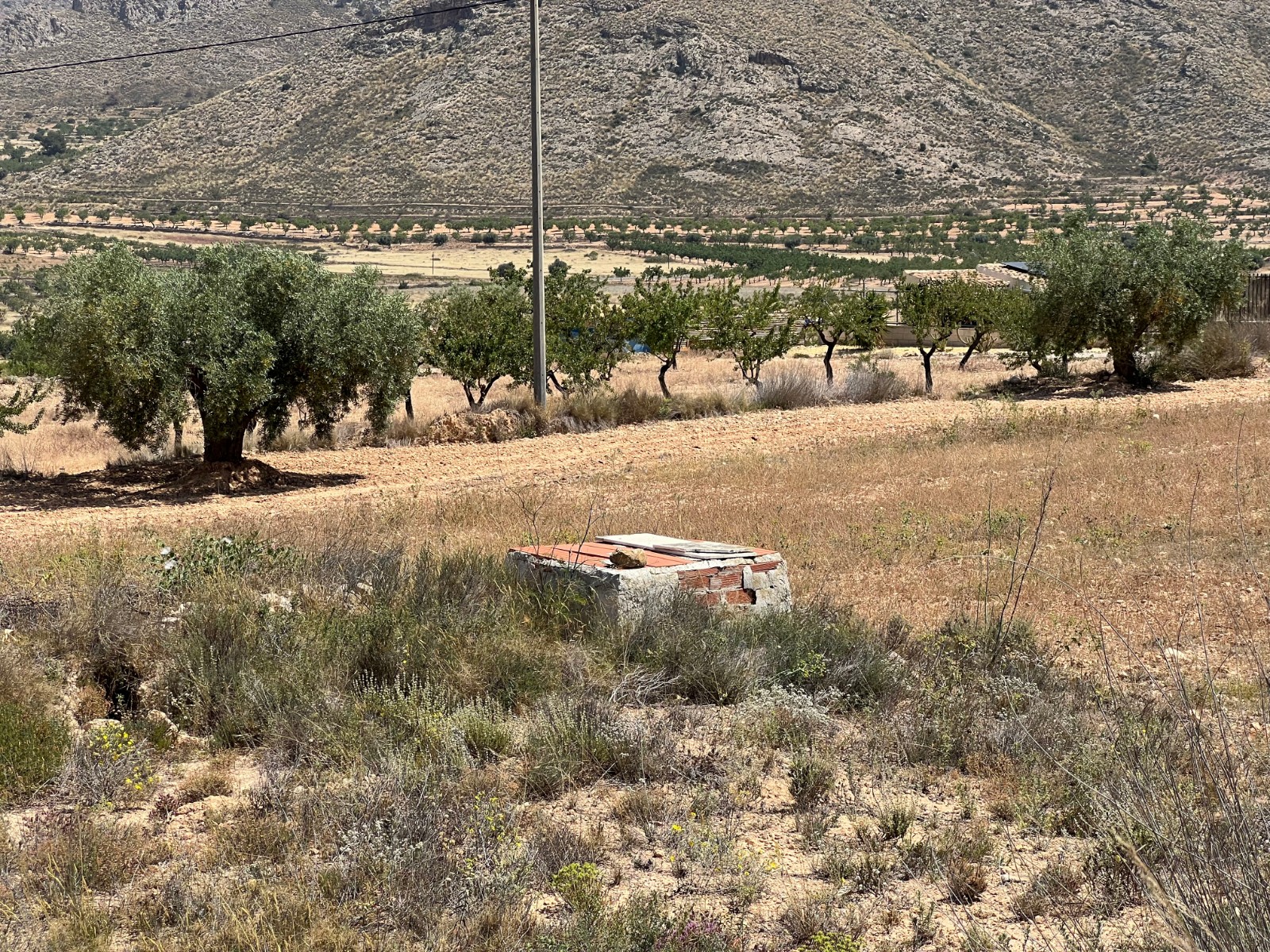 Resale - Land in Barbarroja -  - Alicante
