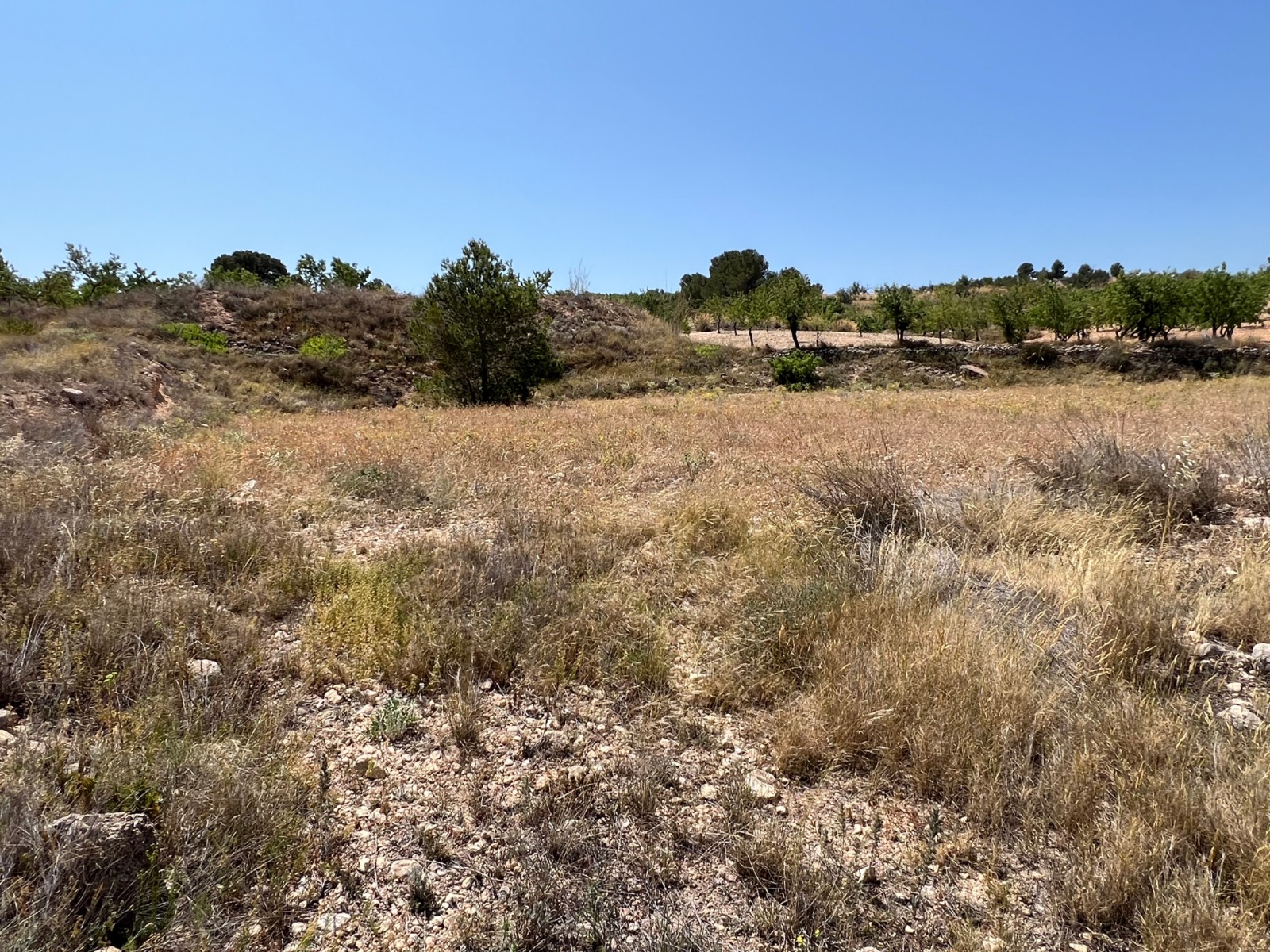 Resale - Land in Barbarroja -  - Alicante