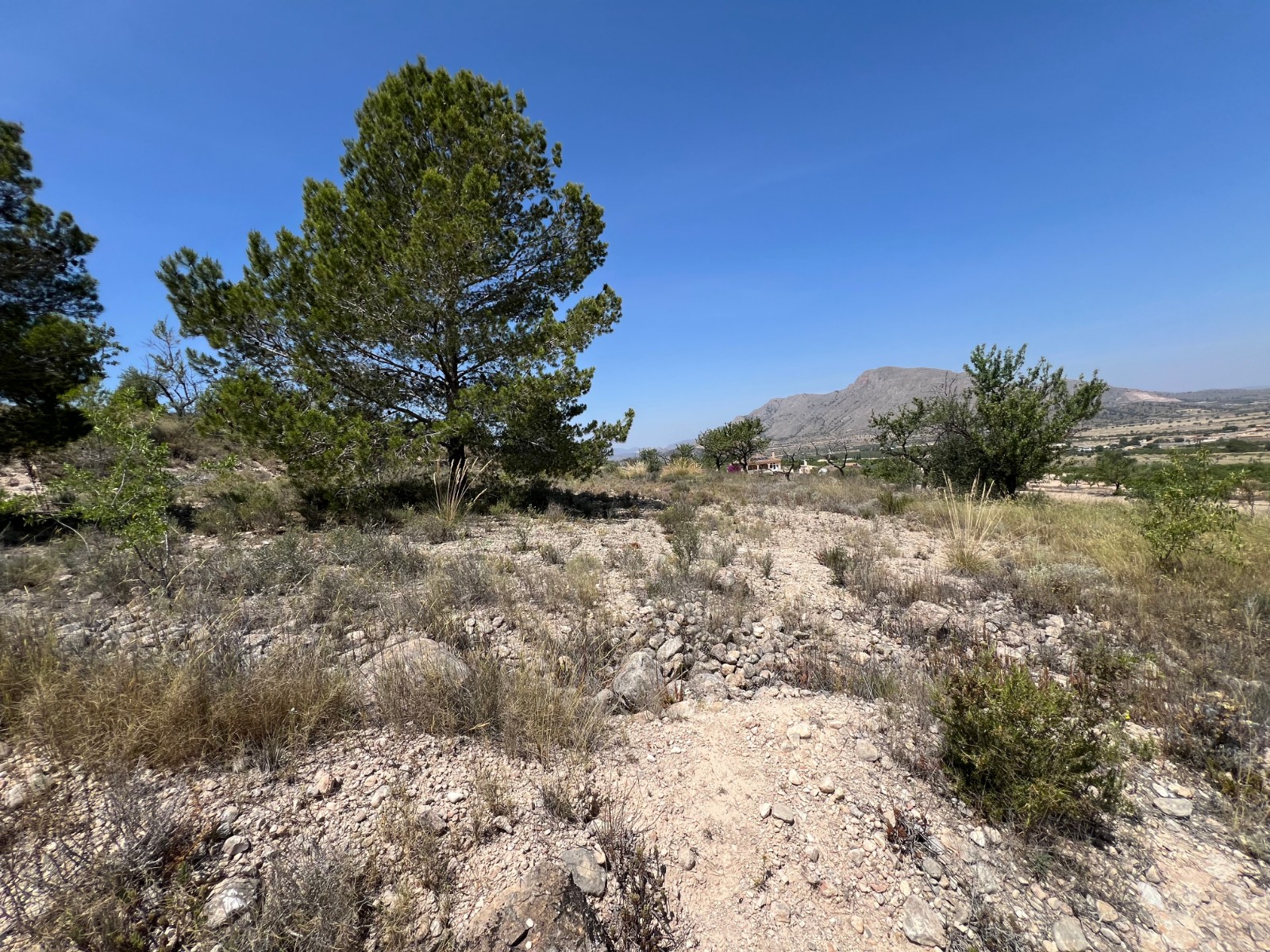 Resale - Land in Barbarroja -  - Alicante